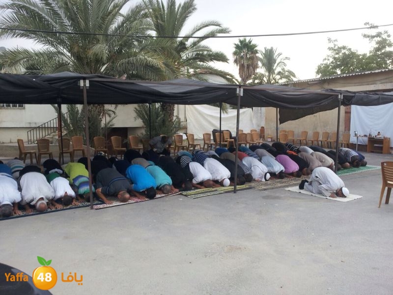 salah 3ed dahmash (16).JPG